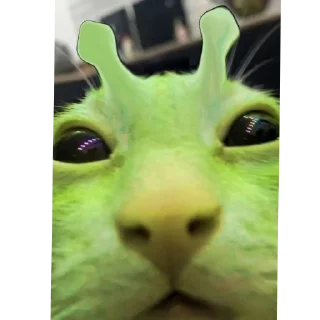 👽 Ein Außerirdischer im Geiste, стікер Telegram 7 з 55