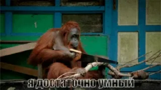 🪚 Обезьянки @Grisa16vo, sticker Telegram 7 sur 25