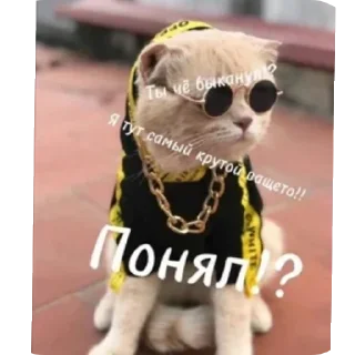 👏 мусорка, sticker Telegram 6 sur 92
