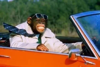 🚗 Monkey, стікер Telegram 17 з 18