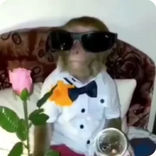 🌟 Имба?, стікер Telegram 8 з 65