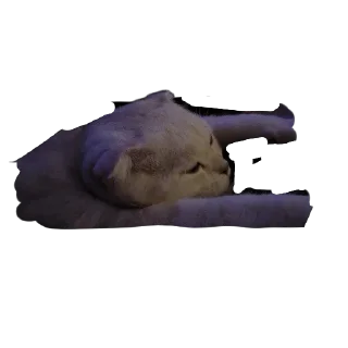 белый выкидыш