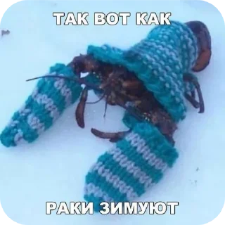 🧵 Гений мира, Telegram sticker 9 of 20