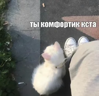 🌟 ❤️, стикер Telegram 6 из 60