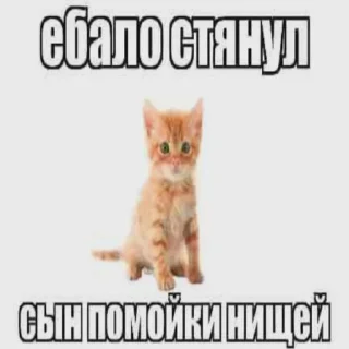 😢 Капец, sticker Telegram 10 sur 56
