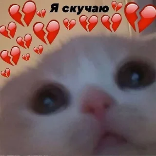 🔅 This is hueta, стікер Telegram 23 з 47
