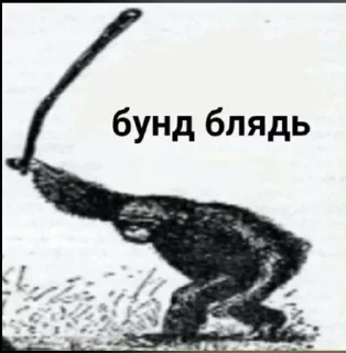 🌟 Пончик, Telegram sticker 11 of 114