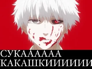 Какашки