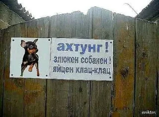 🌟 Пончик, Telegram sticker 17 of 85
