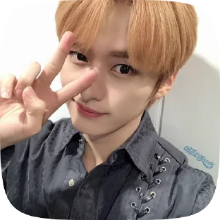 🌟 ★ I| ᥣᥱᥱ κᥒ𖹭ᥕ. 🐈 @maoooq., стікер Telegram 22 з 30