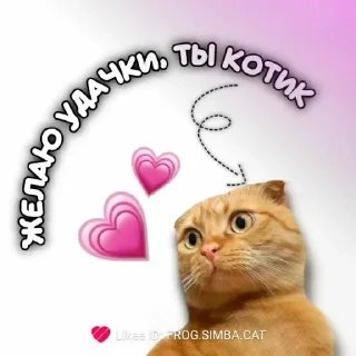 😂 Ктототоалда, стикер Telegram 8 из 34