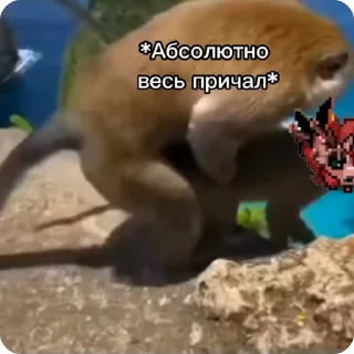 😇 Клевер хуйло | Для антифанов, sticker Telegram 16 sur 48