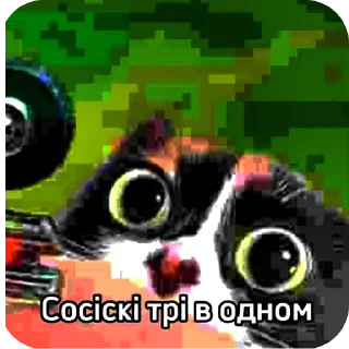 🎡 лина квардроберша, Telegram sticker 16 of 19