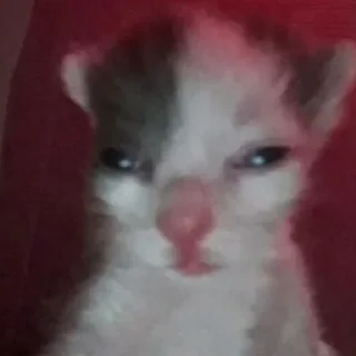 😟 Анальная фея, стикер Telegram 13 из 76