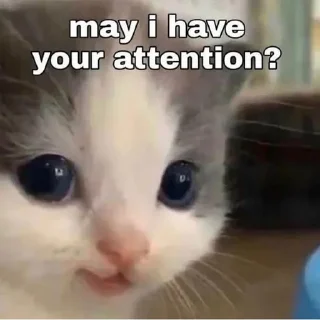 🥺 i luv u, стикер Telegram 7 из 36