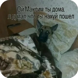 🐶 卍батюшка卍, Telegram sticker 14 of 41
