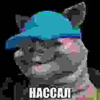 пч2 @StickersRusbot