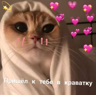 💖 ⚞ᴥ⚟  @noona_stickers, стікер Telegram 23 з 120
