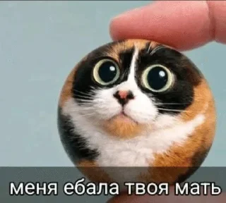 🌟 куки @SackBo_N, стикер Telegram 7 из 45