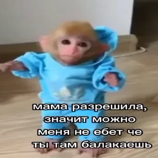 😆 @CloobHub <- больше фуллов, sticker Telegram 14 sur 55