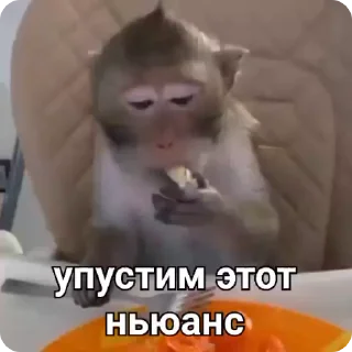 🤨 @CloobHub <- больше фуллов, sticker Telegram 22 sur 55
