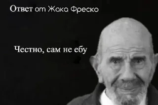 🤔 мяу, стикер Telegram 8 из 99