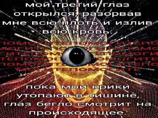 🌟 🦉 Confidential Owl, стікер Telegram 21 з 96