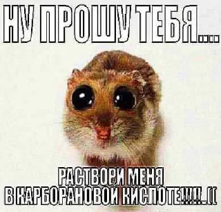 🥺 ну типа пон, Telegram sticker 14 of 82