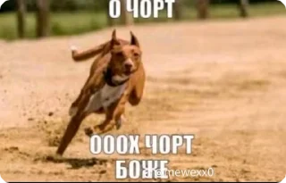 🌟 🍌, стикер Telegram 11 из 120