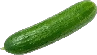 🥒 🥒, Telegram sticker 16 of 53