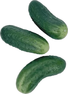 🥒 🥒, Telegram sticker 10 of 53