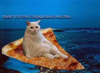 🌊 Шутки за 300, Telegram sticker 15 of 41