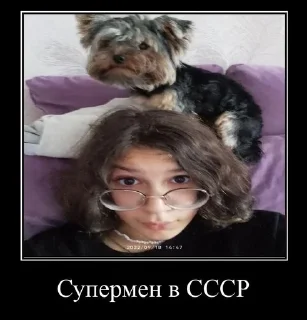 🥵 Смешарики, стікер Telegram 20 з 40