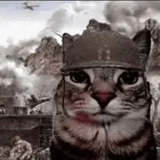 🥷 Memes🫦, стікер Telegram 12 з 63