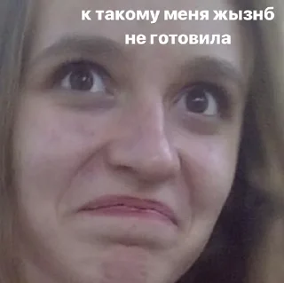😲 хуйло, стикер Telegram 21 из 28