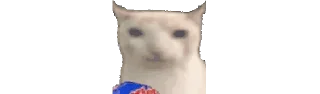 🌟 @tsuneoqq киттики, sticker Telegram 7 sur 39