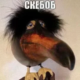 🌟 Скебоб ; @Ronaloda5494, стікер Telegram 18 з 76