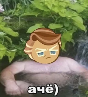 🌟 Kio cookie run meme, стікер Telegram 24 з 51