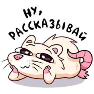 👀 Нури, Telegram sticker 10 of 48