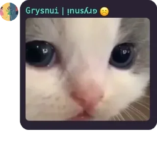 🤗 від @grysnui для @grysnui, sticker Telegram 15 sur 77