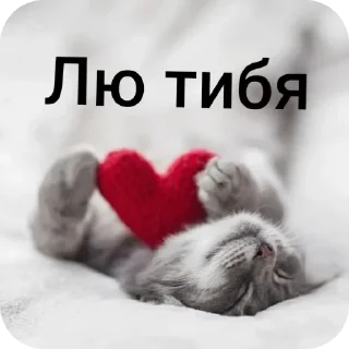 ❤ котики, стікер Telegram 10 з 55
