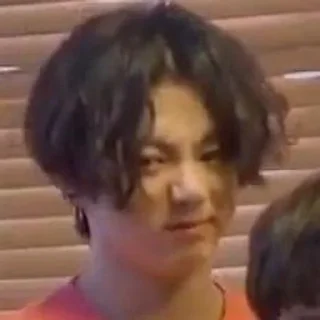 🫤 정국이, стікер Telegram 19 з 56