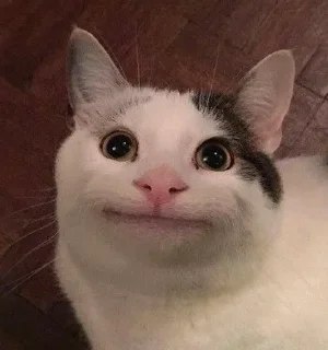 😐 котики, sticker Telegram 6 sur 24