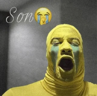 🌟 son😭😭, стикер Telegram 23 из 67