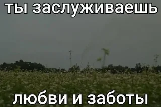 🌟 💌💌, стикер Telegram 19 из 120