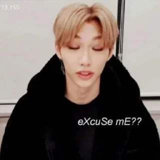 🤔 💗stray kids💗, стікер Telegram 13 з 75