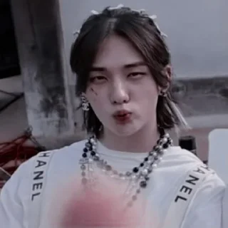 🦙 Stray kids., стикер Telegram 5 из 120