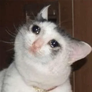 😭 Меми 2022, стікер Telegram 10 з 50