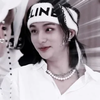 🦙 Stray kids., стикер Telegram 20 из 120