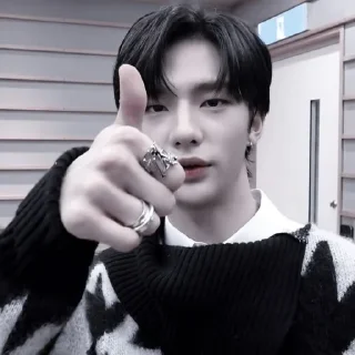 🦙 Stray kids., стикер Telegram 6 из 120
